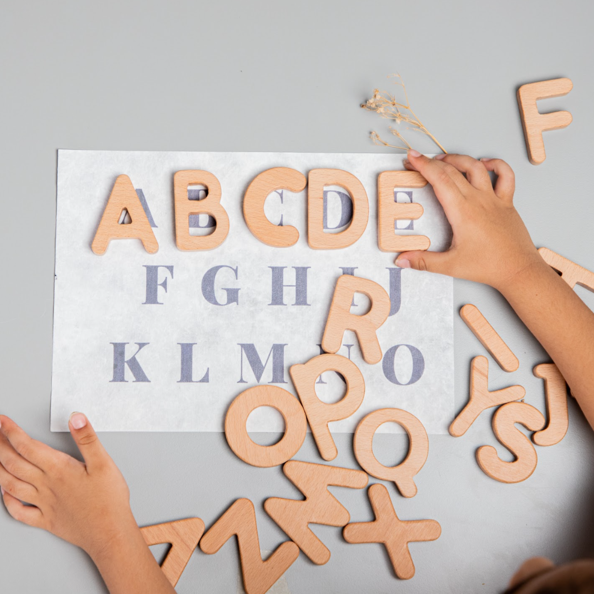 Birch & Bug Alphabet Letters Uppercase