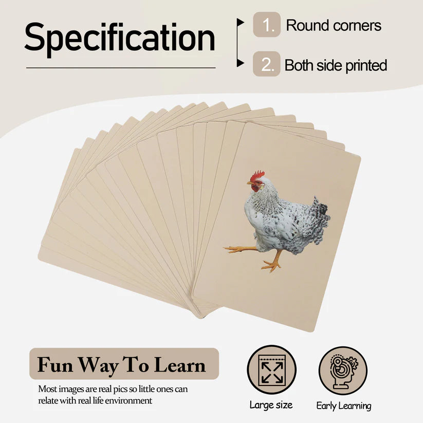 PiK A BOO Birds Flash Cards | Early Learning for Toddlers & Preschool