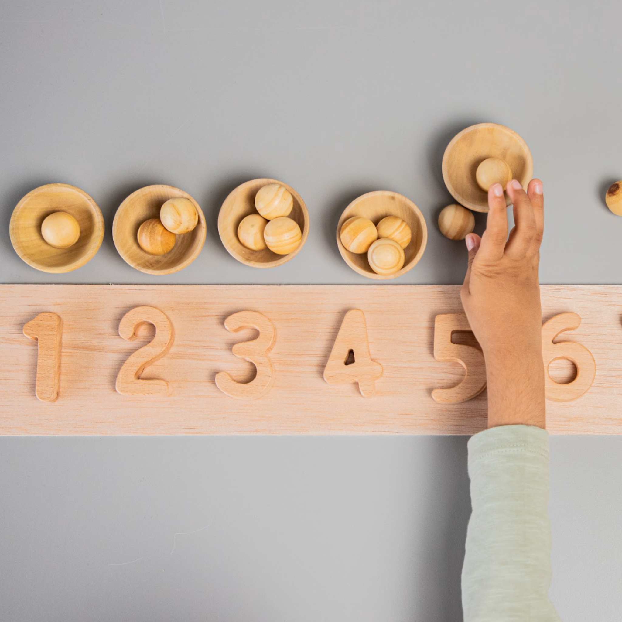 Birch & Bug Wooden Numbers