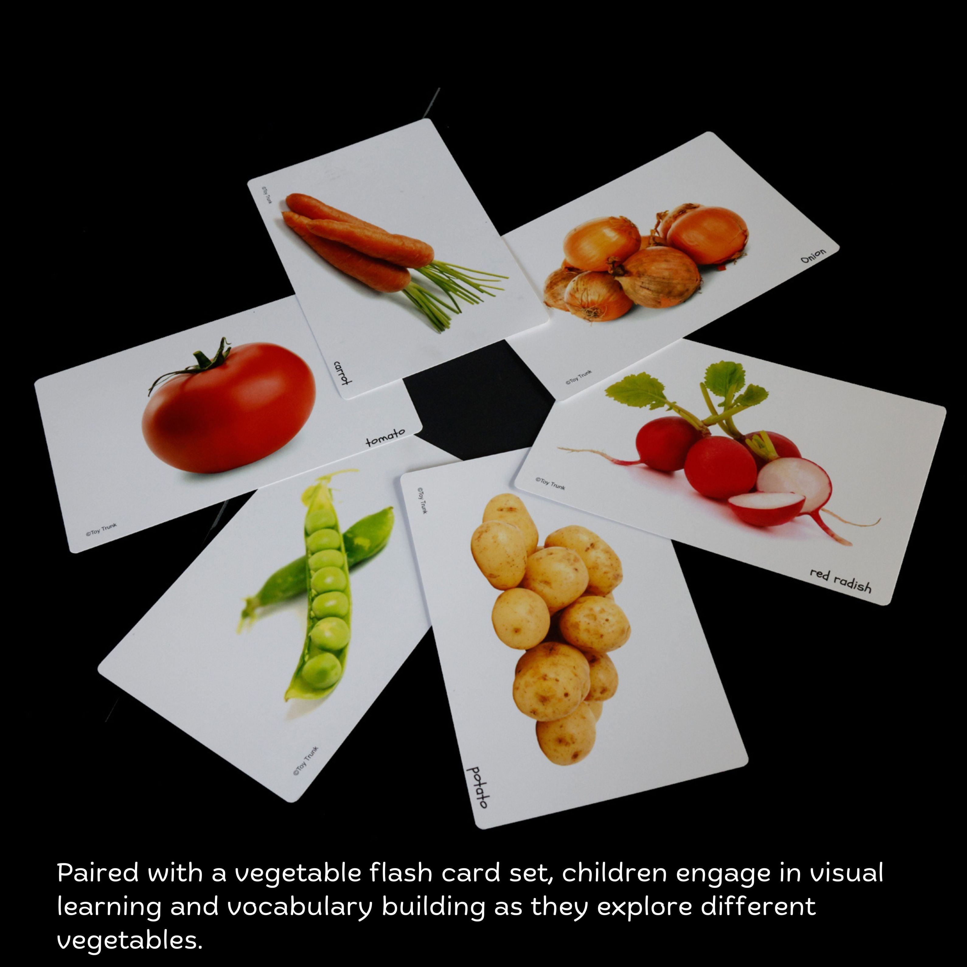 Toy Trunk Cognitive Roll and Learn Set ( Rolling rattle , Vegetable Flash cards)