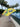 3d Tail Cool Dino Transparent Patch Kids Umbrella, 2-6 years, Yellow - Little Surprise Box3d Tail Cool Dino Transparent Patch Kids Umbrella, 2-6 years, Yellow