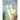 3pcs set of Pink, Cream & Yellow 3d enchanted Mushrooms Socks for Kids (3 Pairs sets) - 