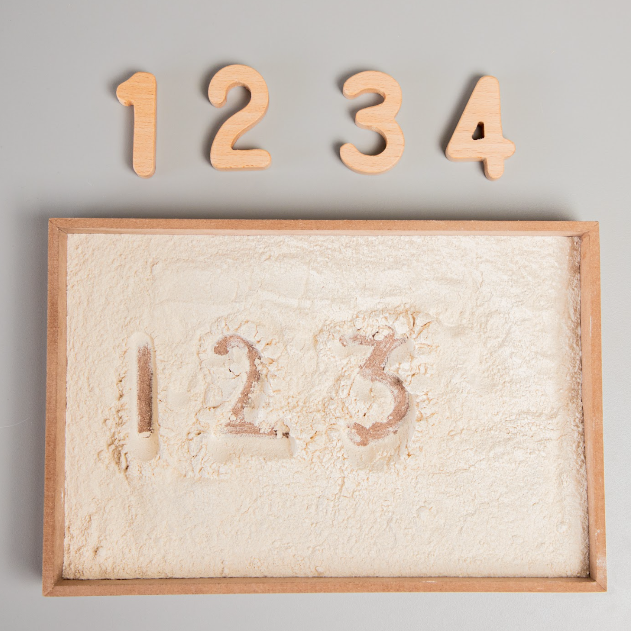 Birch & Bug Wooden Numbers