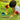 LattooLand Little Gardener's Kit/ Sand Toys Kit