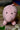 Himalayan Blooms Crochet Pig Toy
