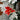 5.9 feet Bushy Long Snowy Leaves Xmas Tree with 8 free Wired Red Poinsetta Flower Tips, 180 cms with 550 Branch Tips ,christmas Tree Décor - Christmas
