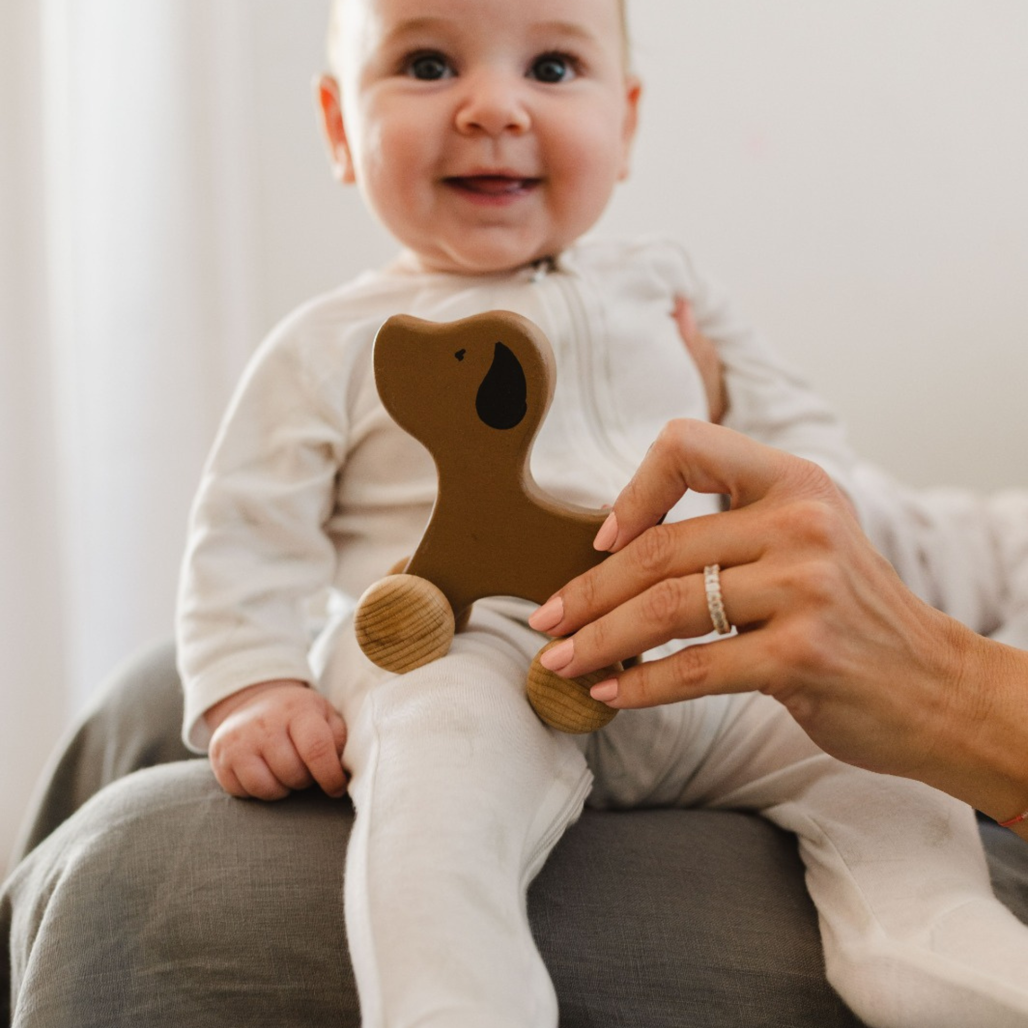 Birch & Bug Dog Roller Toy