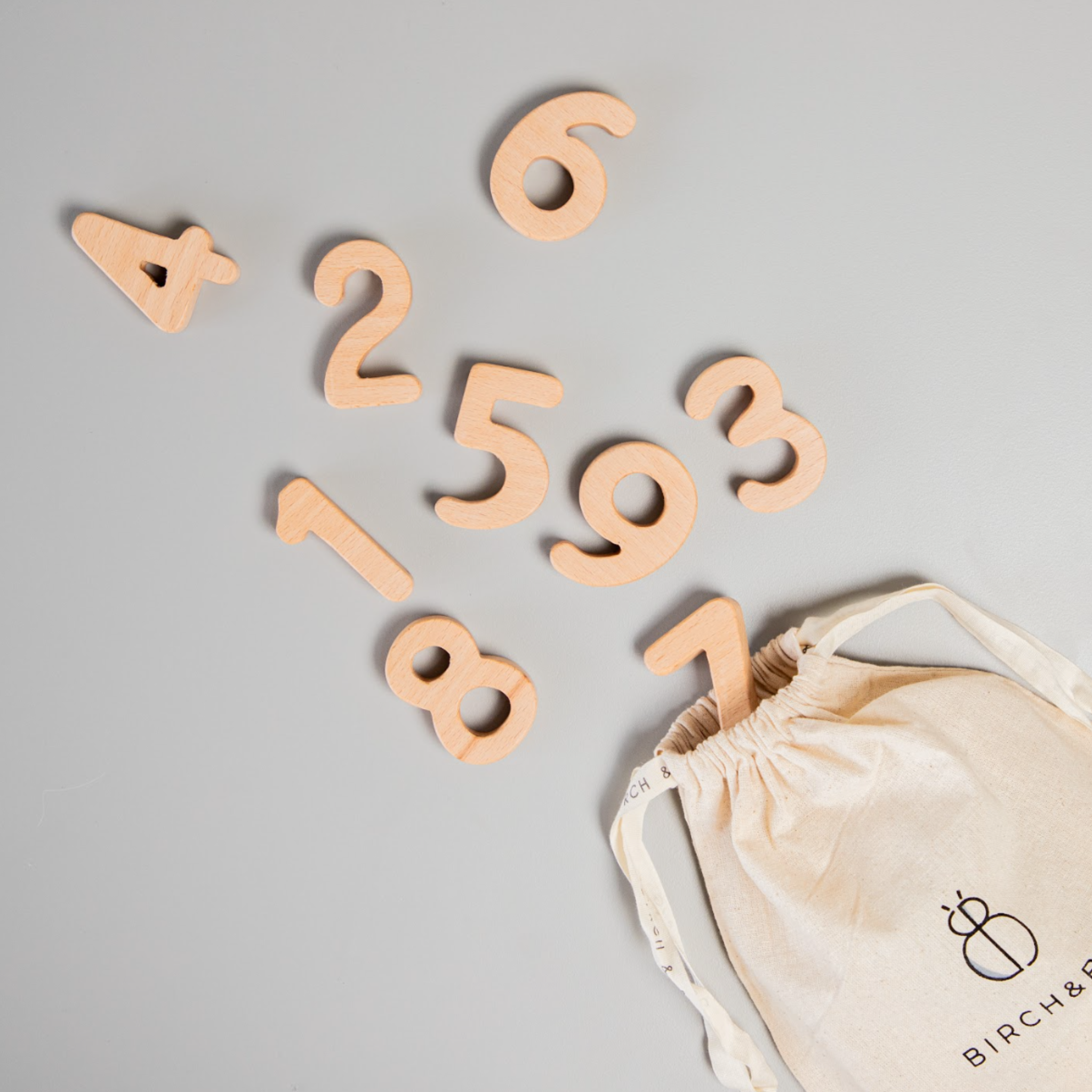 Birch & Bug Wooden Numbers