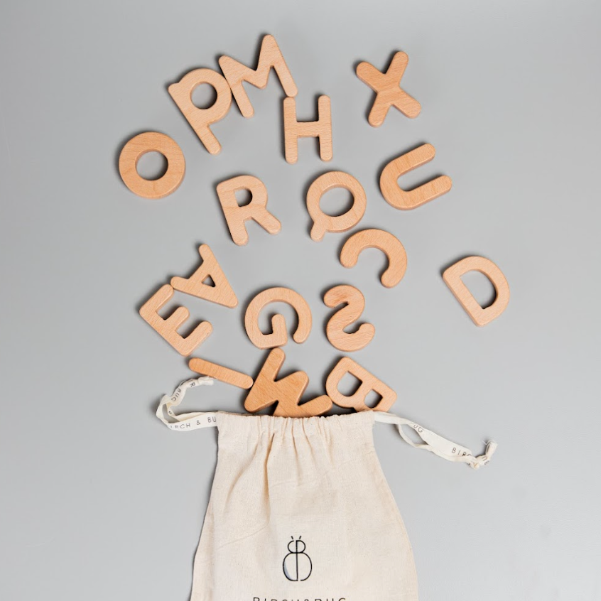 Birch & Bug Alphabet Letters Uppercase