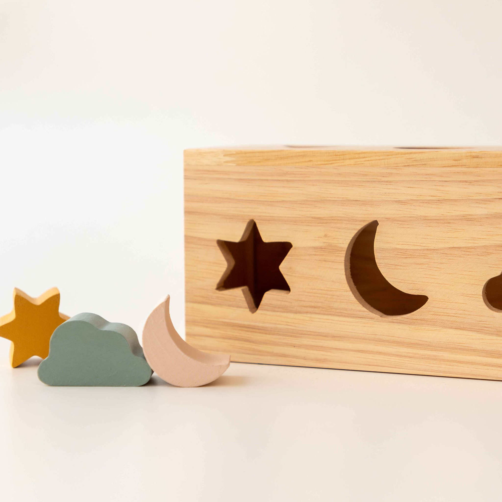 Birch & Bug Shape Puzzle Box