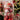 70 pcs Red & White gingerbread themed Christmas Balls tree hanging,Xmas Decoration set. - Christmas