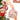 70 pcs Red & White gingerbread themed Christmas Balls tree hanging,Xmas Decoration set. - Christmas
