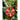 78pcs Green & Red Big size Mittens themed assorted Christmas Ball & xmas decoration set - Christmas