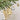 90 pcs Bronze Metal Shaded Big Star themed Christmas Ball Tree ornaments XMAS Decoration Set - Little Surprise Box90 pcs Bronze Metal Shaded Big Star themed Christmas Ball Tree ornaments XMAS Decoration Set