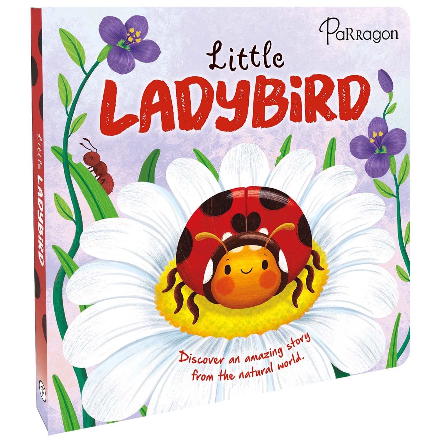 Parragon Publishing Little Ladybird | Story Book for 4 to 6 Year Kids