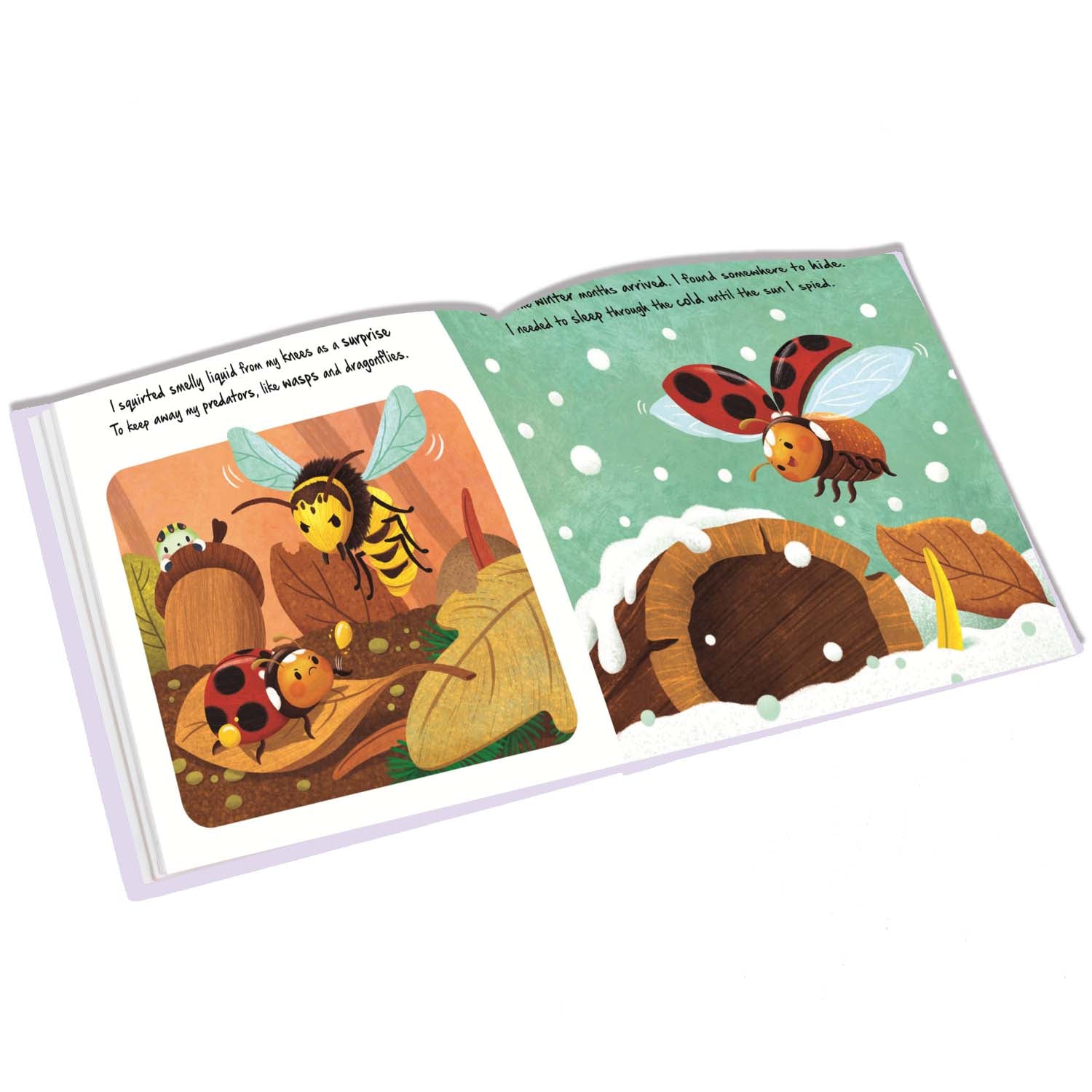 Parragon Publishing Little Ladybird | Story Book for 4 to 6 Year Kids