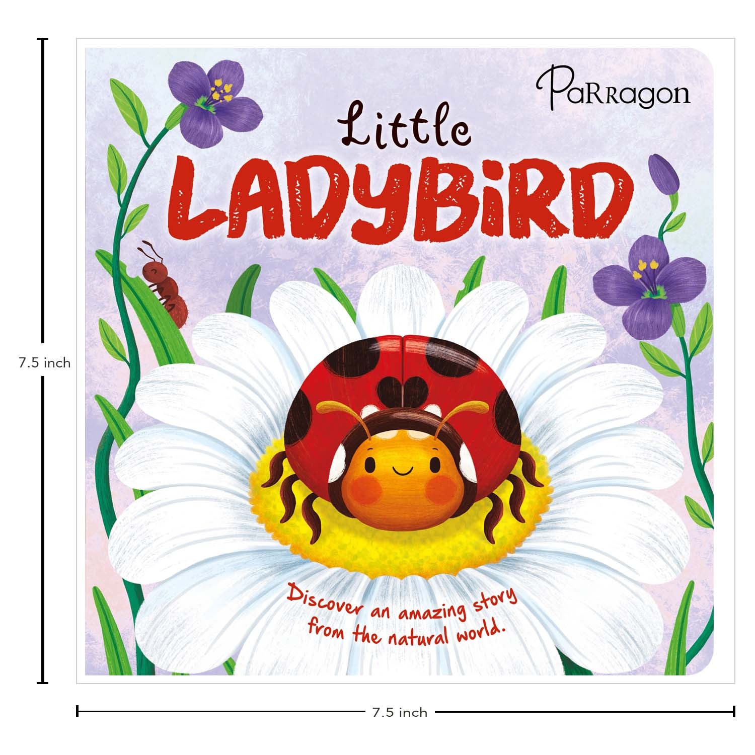 Parragon Publishing Little Ladybird | Story Book for 4 to 6 Year Kids