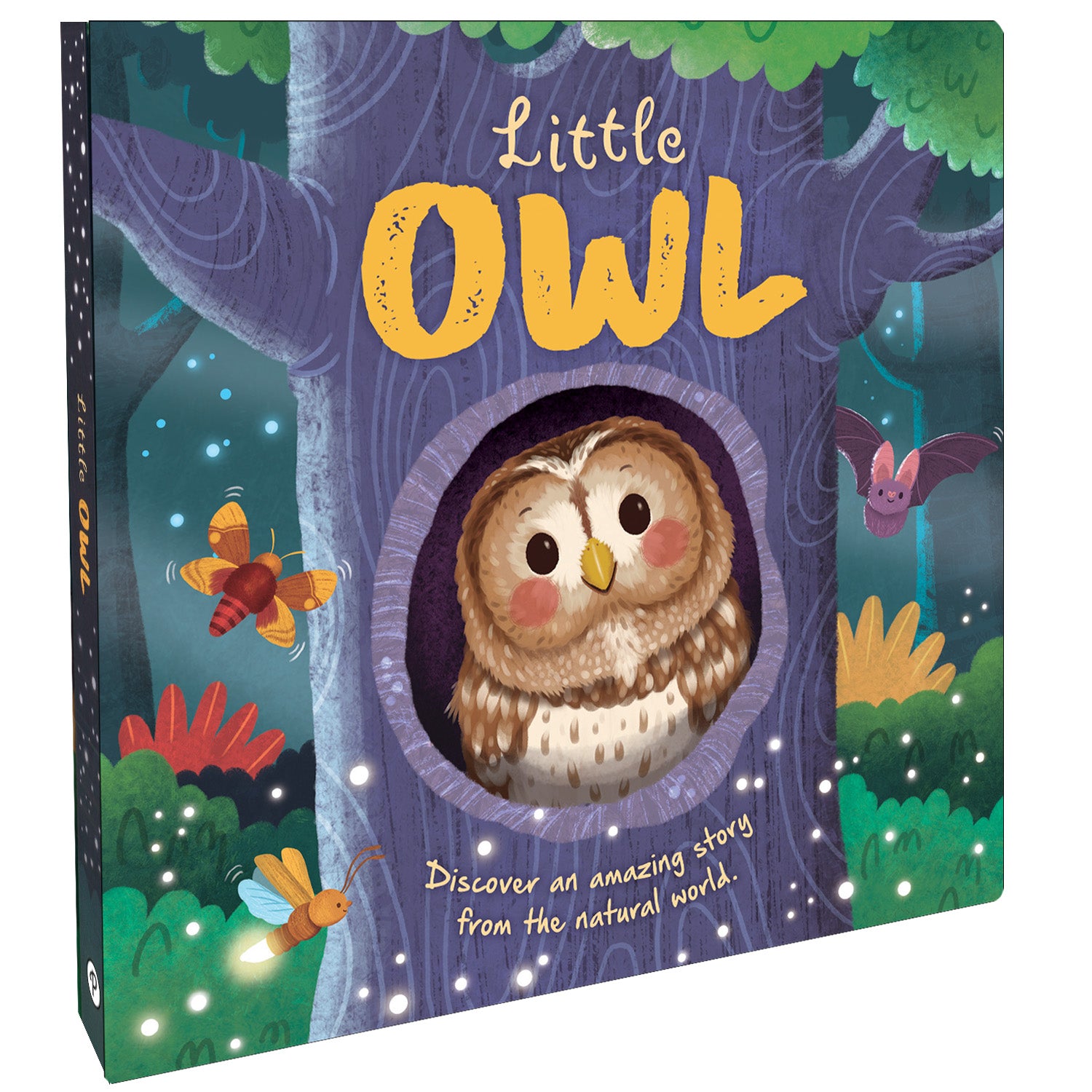 Parragon Publishing Little Owl | Discover An Amazing Story |For 4 to 6 Year Kids