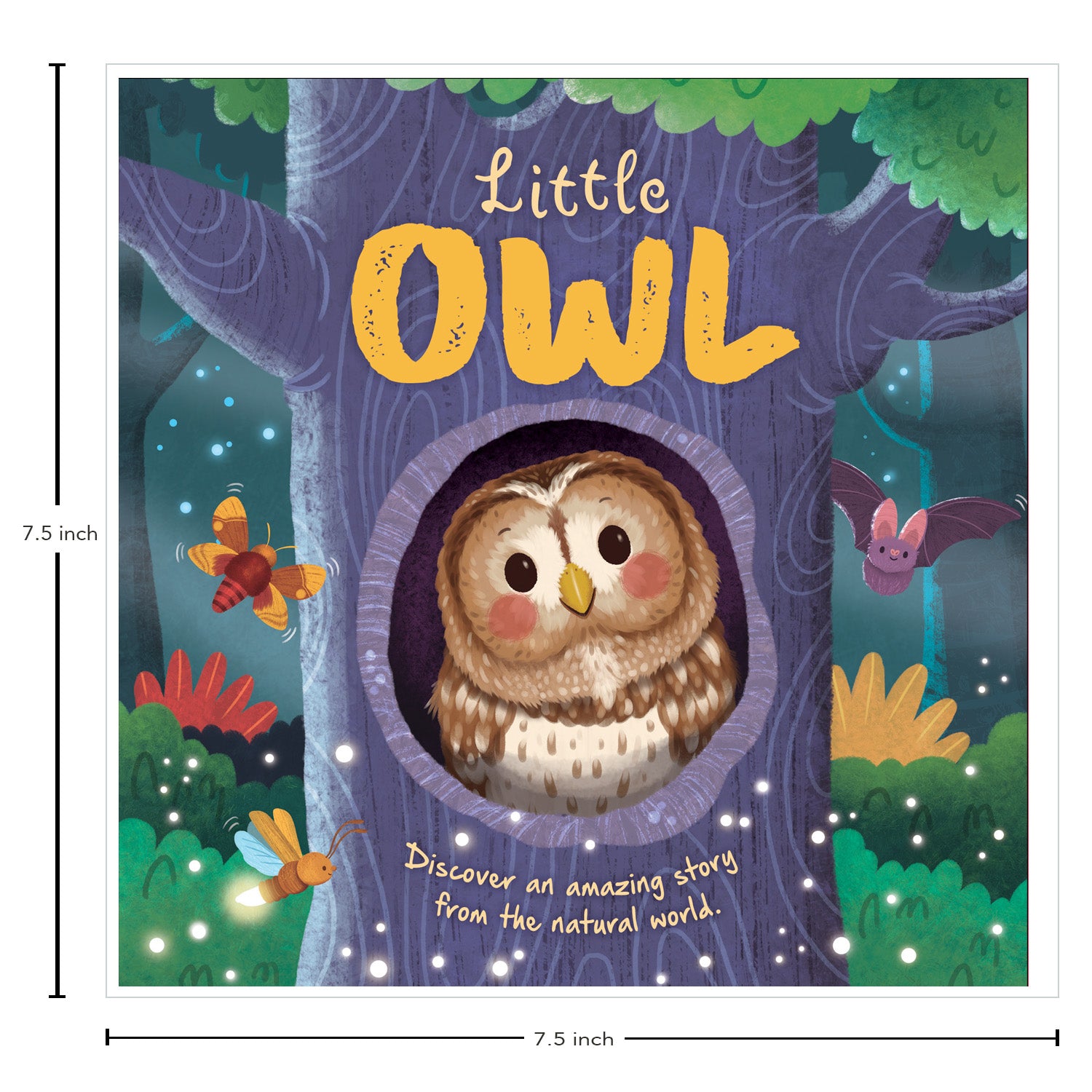 Parragon Publishing Little Owl | Discover An Amazing Story |For 4 to 6 Year Kids