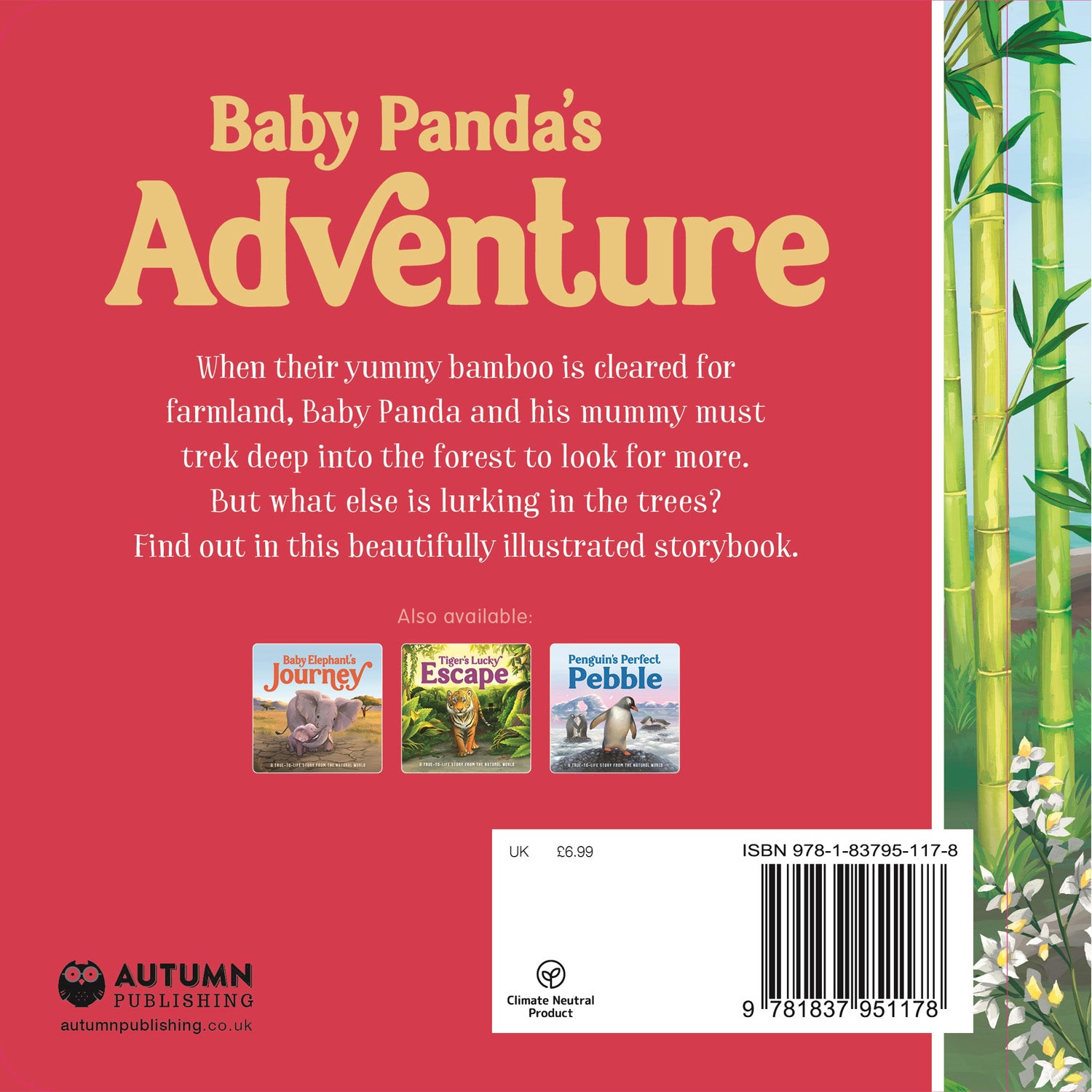 Parragon Publishing Baby Panda's Adventure | Story Book for 4 to 6 Year Kids