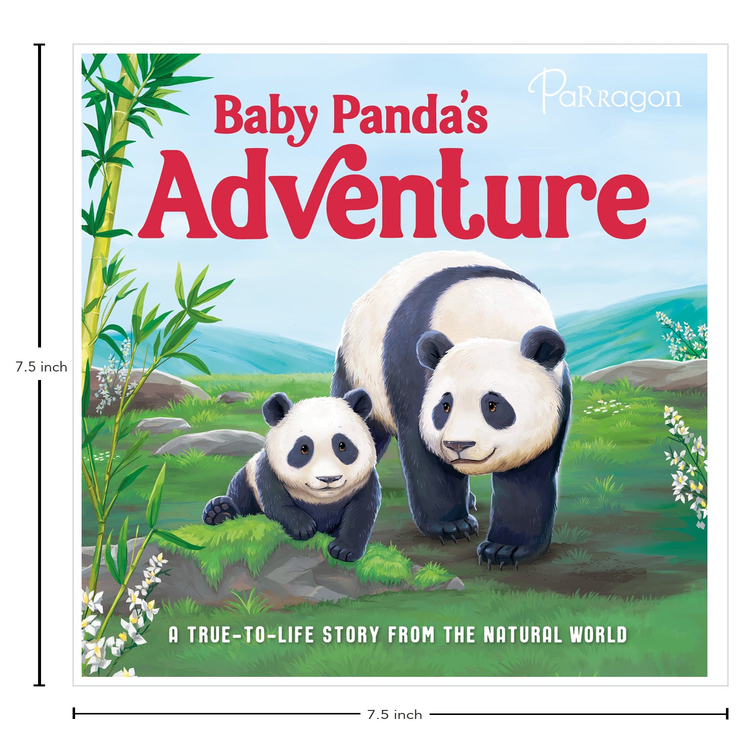 Parragon Publishing Baby Panda's Adventure | Story Book for 4 to 6 Year Kids