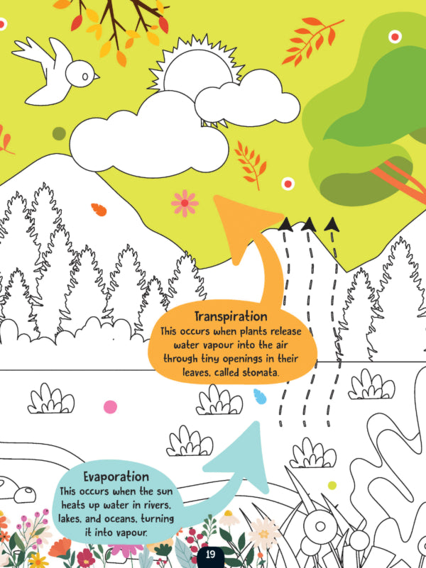Dreamland Publications The Little Scientists Activity Book for Kids Age 5+