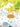 Dreamland Publications The Little Scientists Activity Book for Kids Age 5+
