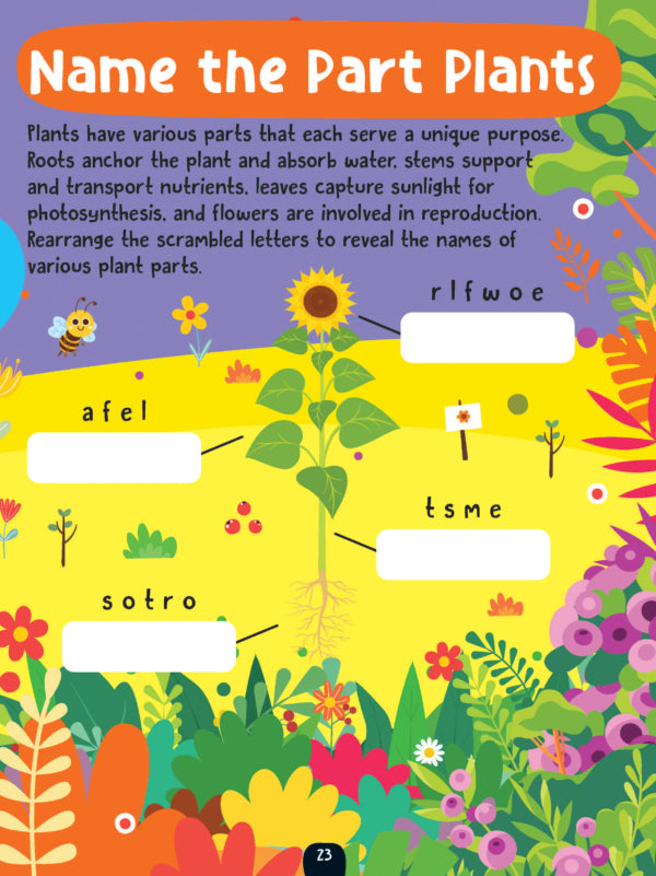Dreamland Publications The Little Scientists Activity Book for Kids Age 5+