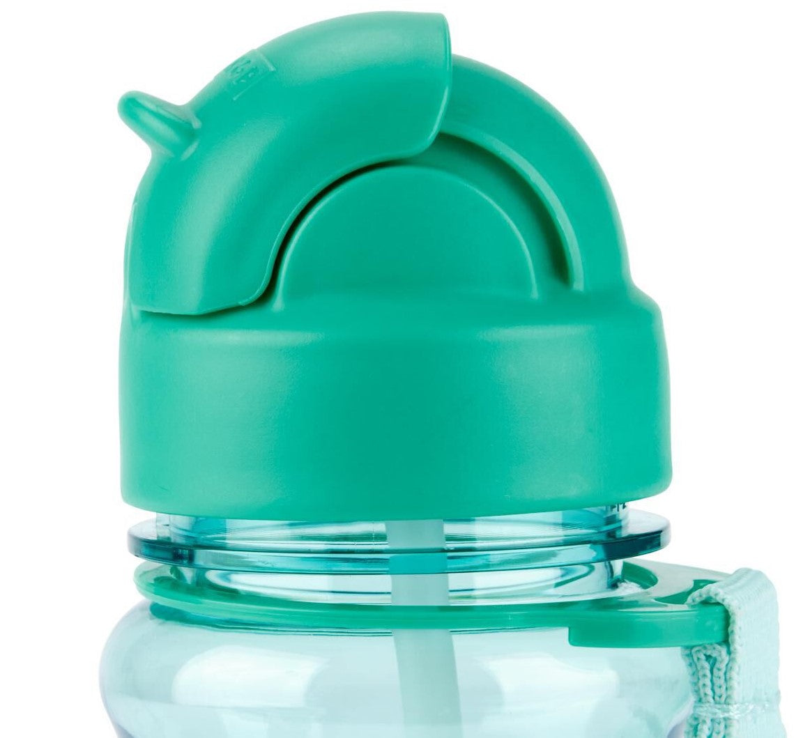 Skip Hop Zoo Straw Bottle Pp Pug