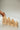Birch Winter Village Houses Set of 4