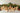Birch Winter Village Houses Set of 4