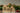 Birch Winter Village Houses Set of 4