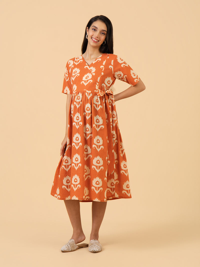 Soft Nectar Maternity and Nursing Dress