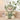 CuddleNest Teddy Bear with Cap - 'I Love You' Plush Toy for Kids