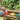 BYD Eric Activity Wooden Easel