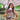 Almitra Tattva Ishkabon Yoga Baby Carrier - Baby Carrier