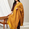 Amber Embrace Acrylic Woolen Stole - WNTSTL - AMBEM
