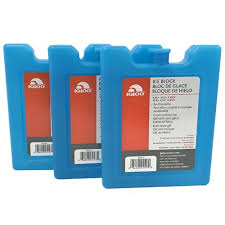 Ameda Freezer Element - Igloo - Pack of 4 (to be used with Travel Case) - 17802_4