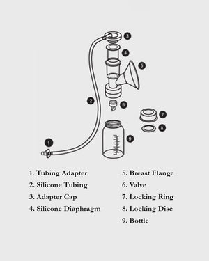 Ameda Universal Single hygiene Kit milk collection system Breast Flange - 200U02