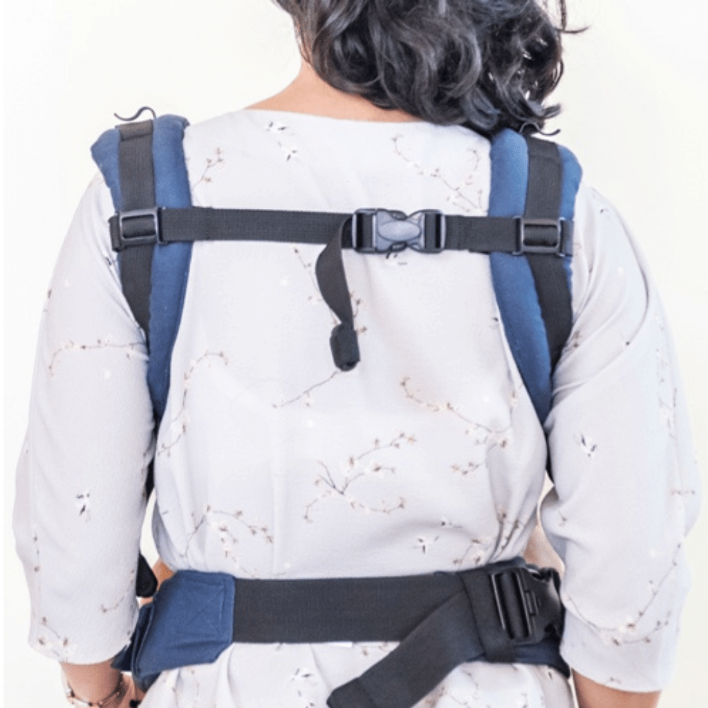 Anmol Baby Ergonomic Baby Carrier - Easy - BA29