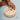 Ariro Life Cycle Puzzle -  Oviparous - ARPZ014 - OP