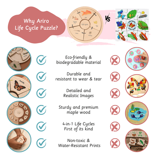 Ariro Life Cycle Puzzle -  Oviparous - ARPZ014 - OP
