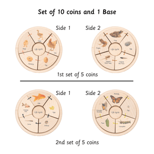 Ariro Life Cycle Puzzle -  Oviparous - ARPZ014 - OP