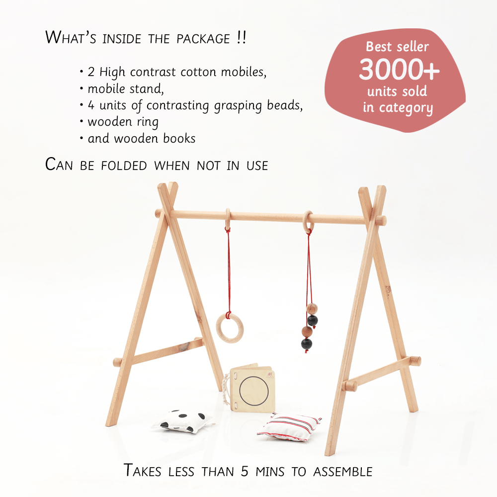 Ariro Toys Baby Floor Gym & Mobile - ARCO016