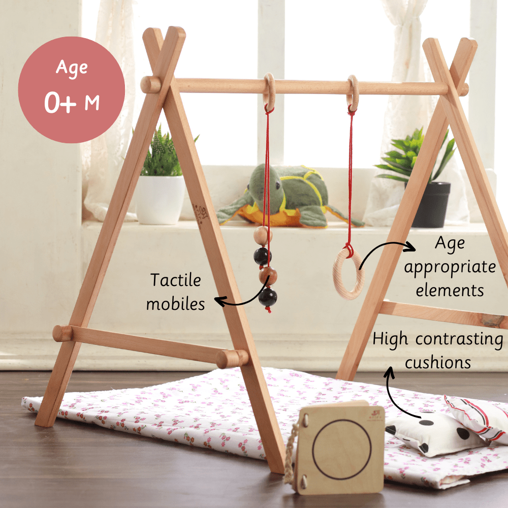 Ariro Toys Baby Floor Gym & Mobile - ARCO016