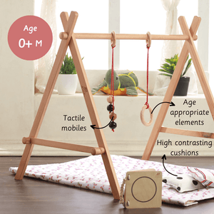 Ariro Toys Baby Floor Gym & Mobile - ARCO016