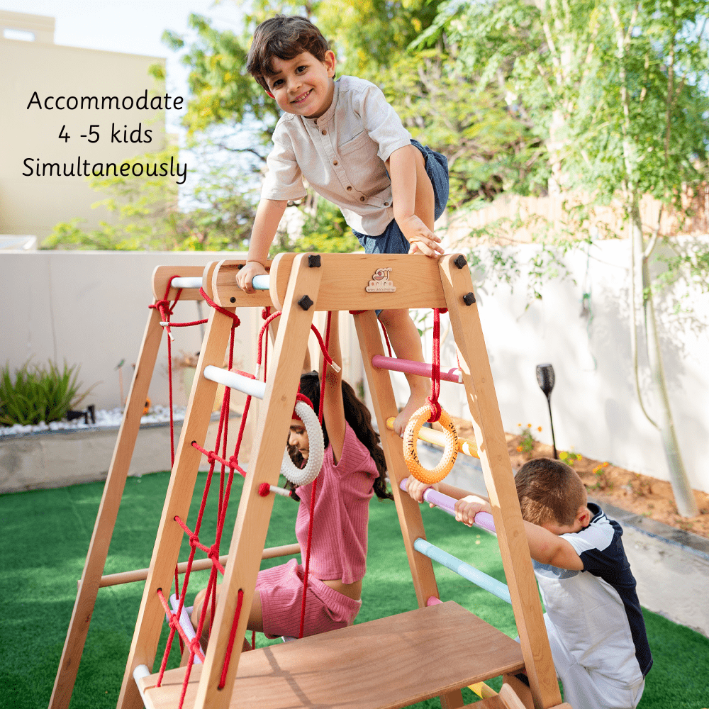 Ariro Toys Jungle Gym Ultimate - ARF015 - SC