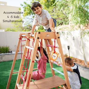 Ariro Toys Jungle Gym Ultimate - ARF015 - SC