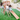 Ariro Toys Jungle Gym Ultimate - ARF015 - SC