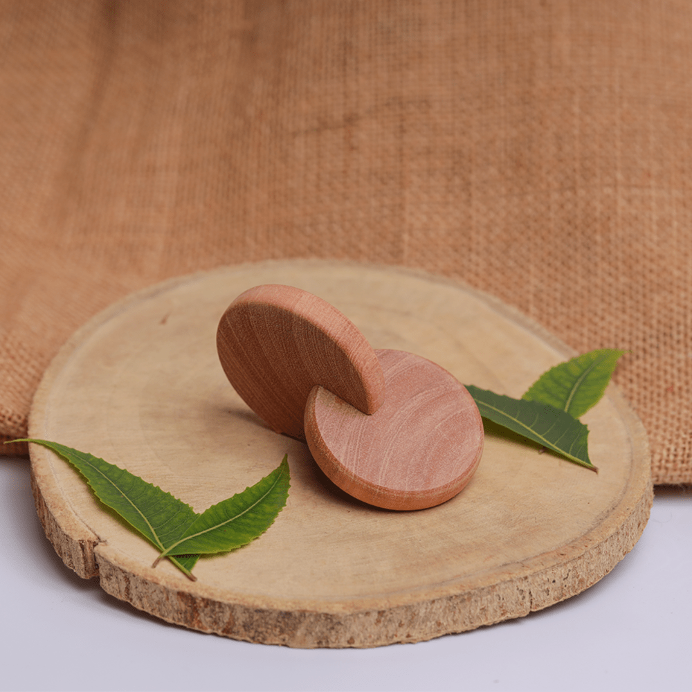 Ariro Toys Wooden Interlocking Discs - ART020